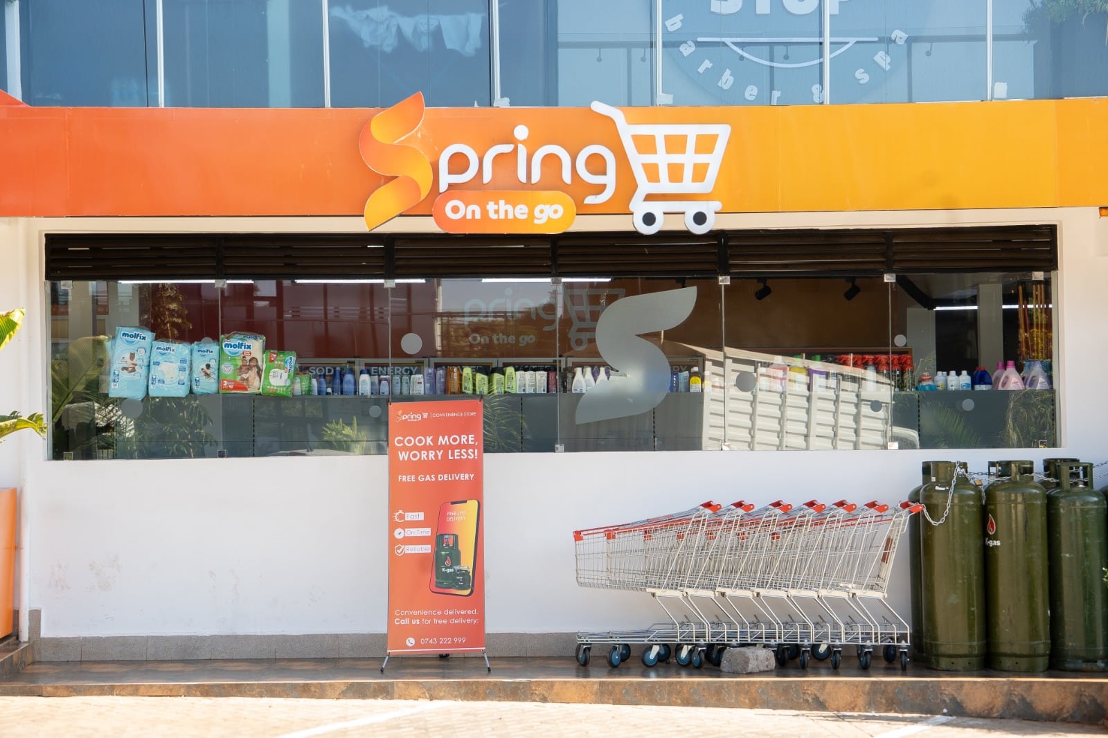 Read more about the article Spring On The Go Banana